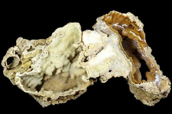 Agatized Fossil Coral Geode - Florida #188051